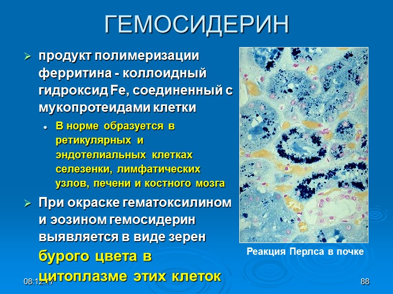 08:12:02 88 ГЕМОСИДЕРИН продукт полимеризации ферритина - коллоидный гидроксид Fe, соединенный с мукопротеидами клетки